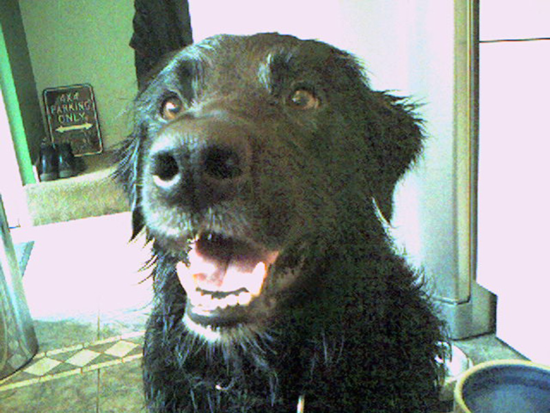 wet Yod