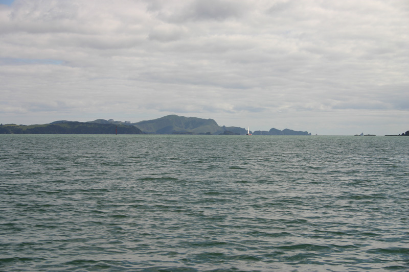 082_IMG_7547