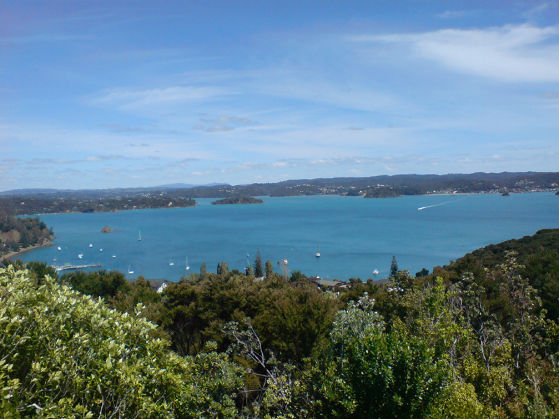 123_DSC00007