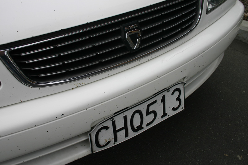 127_IMG_7589