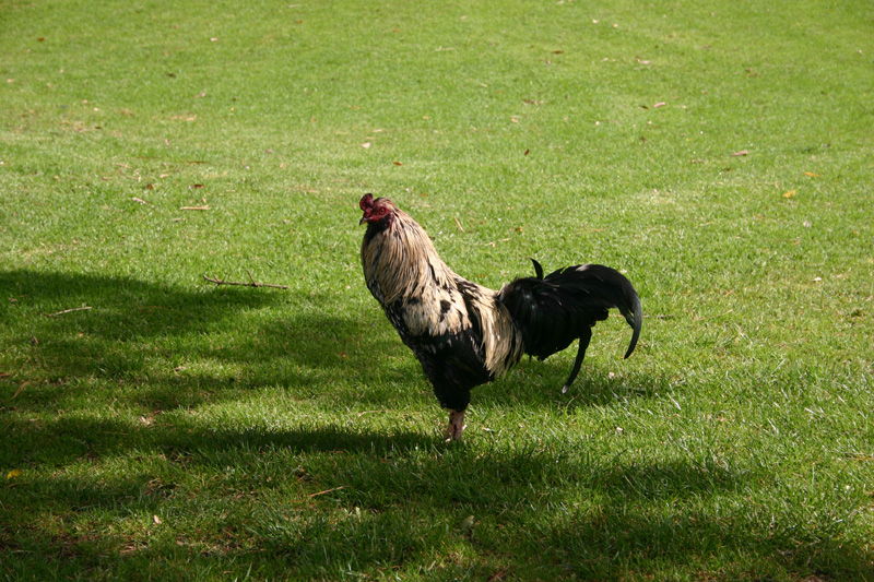 132_IMG_7591