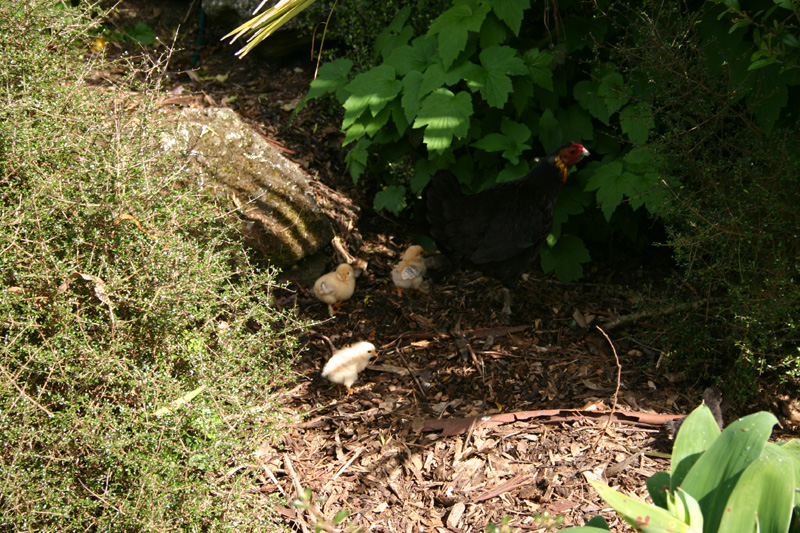 134_IMG_7593