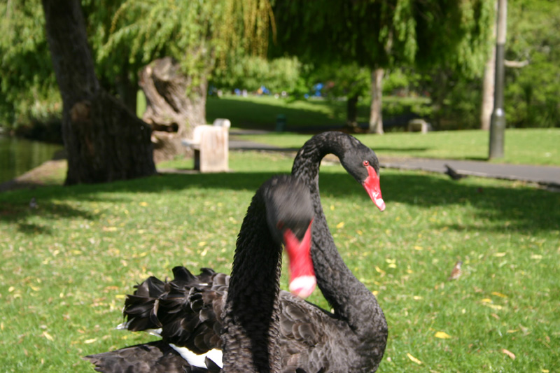 147_IMG_7606