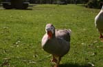 136_IMG_7595