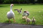 151_IMG_7611