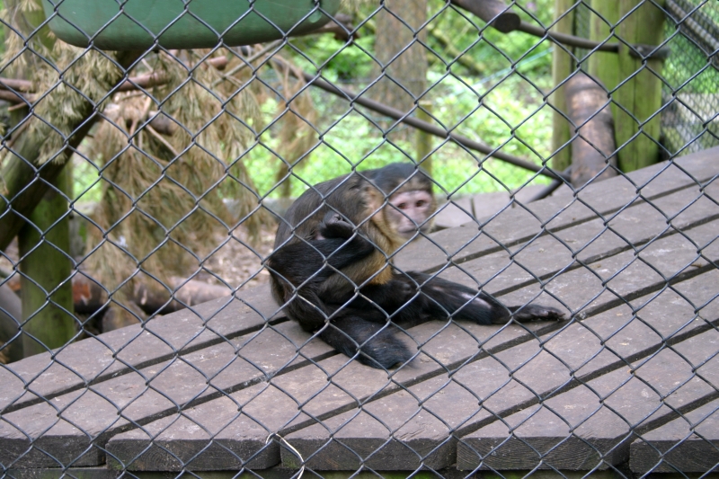 IMG_0067